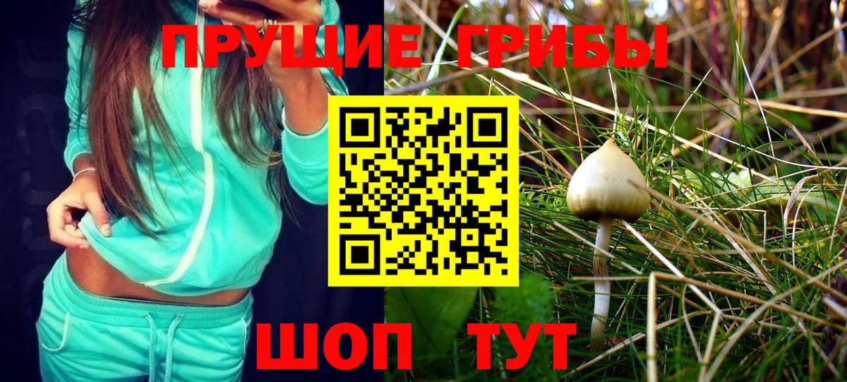 Псилоцибиновые грибы ЛСД  Вход с VPN  Боровичи  Псилоцибиновые грибы Cubensis 